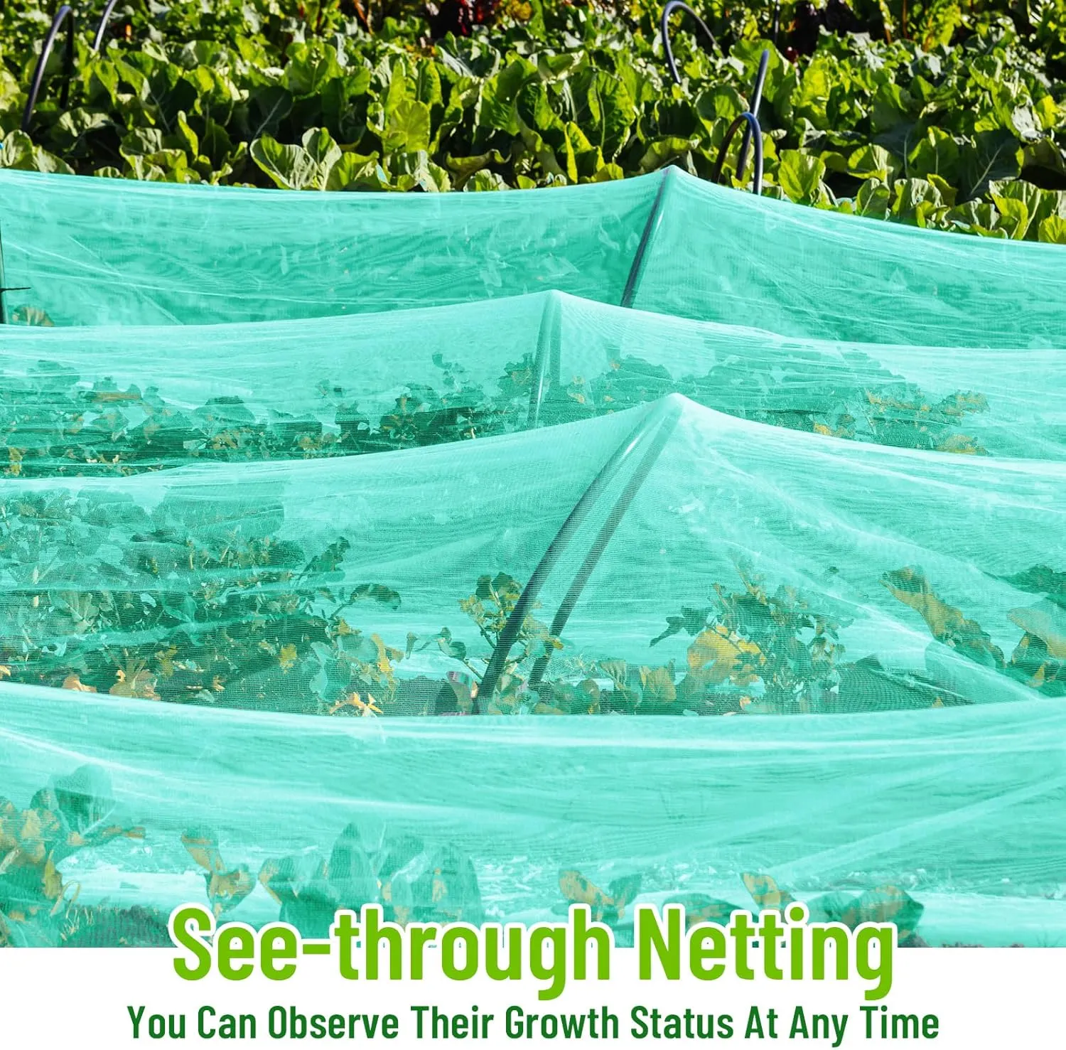 2 Pack Garden Netting 10 x 20 ft Ultra Fine Mesh Garden Netting Green Mesh Plant Cover Raised Beds Barrier Screen Protection for Vegetable Fruits Flowers Crops Greenhouse Rows from Birds Squirrels