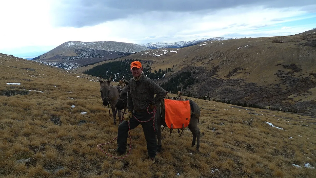 Burro Hunting Pannier - (Set of 2 pannier)