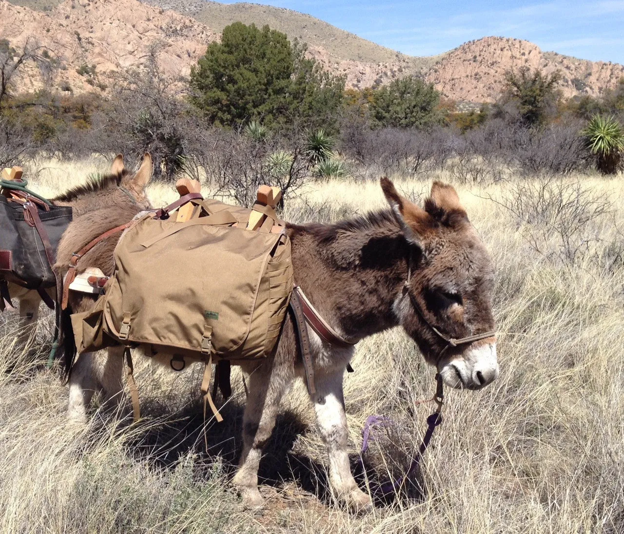 Burro Hunting Pannier - (Set of 2 pannier)