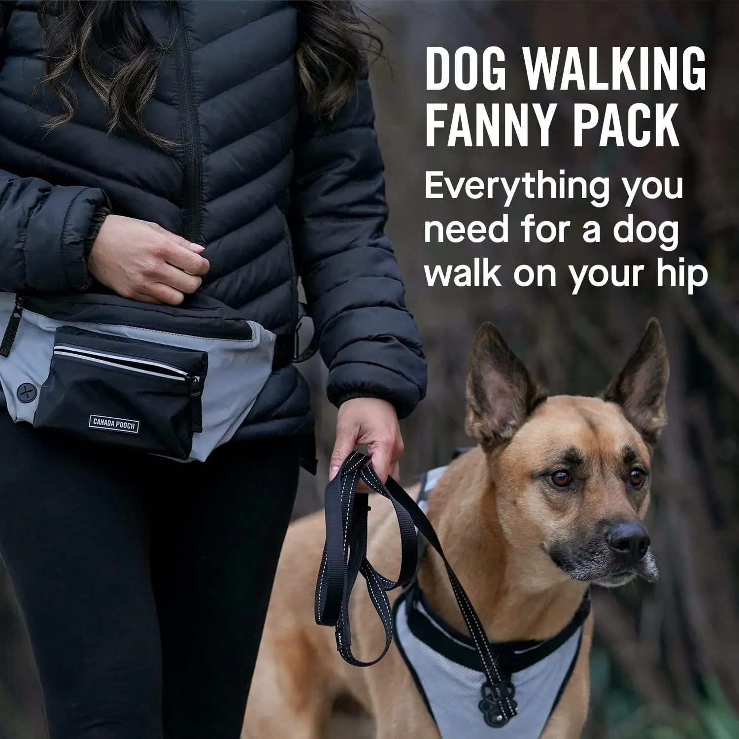 Canada Pooch Reflective Everything Dog Fanny Pack