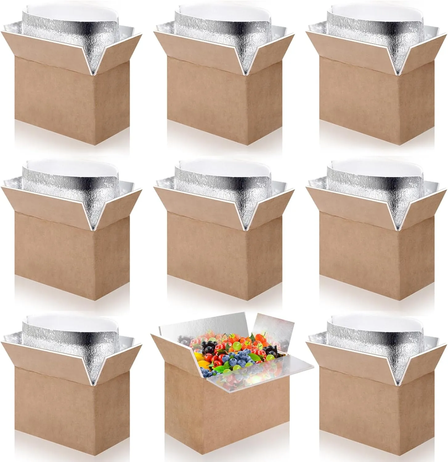Double Insulated Shipping Boxes with Aluminum Foil Insulated Bag,10 Pack Cold Shipping Boxes for Frozen Food,Small Chill Insulated Shipping Box for Packing Mailing,Inside 9 x 6 x 5 in