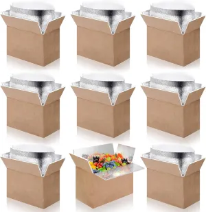 Double Insulated Shipping Boxes with Aluminum Foil Insulated Bag,10 Pack Cold Shipping Boxes for Frozen Food,Small Chill Insulated Shipping Box for Packing Mailing,Inside 9 x 6 x 5 in