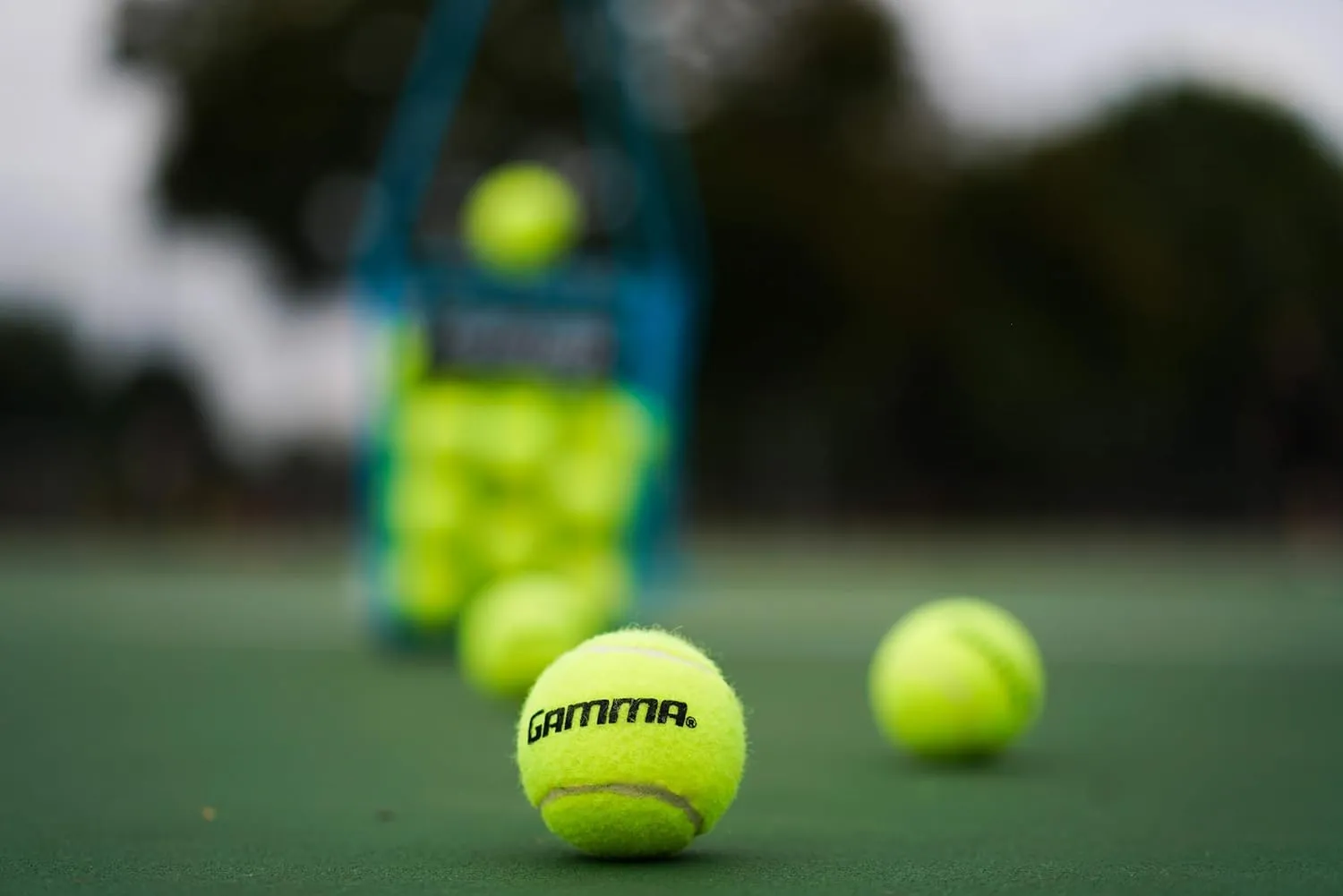 GAMMA Sports Tennis Ball Bags, 10 & 20 Pack Sizes, Yellow Pressureless Balls, Tennis Lessons & Practice, Longer Durability & More Bounce, Ball Machine, Dog/Pet Ball, Tennis Training, Coaching