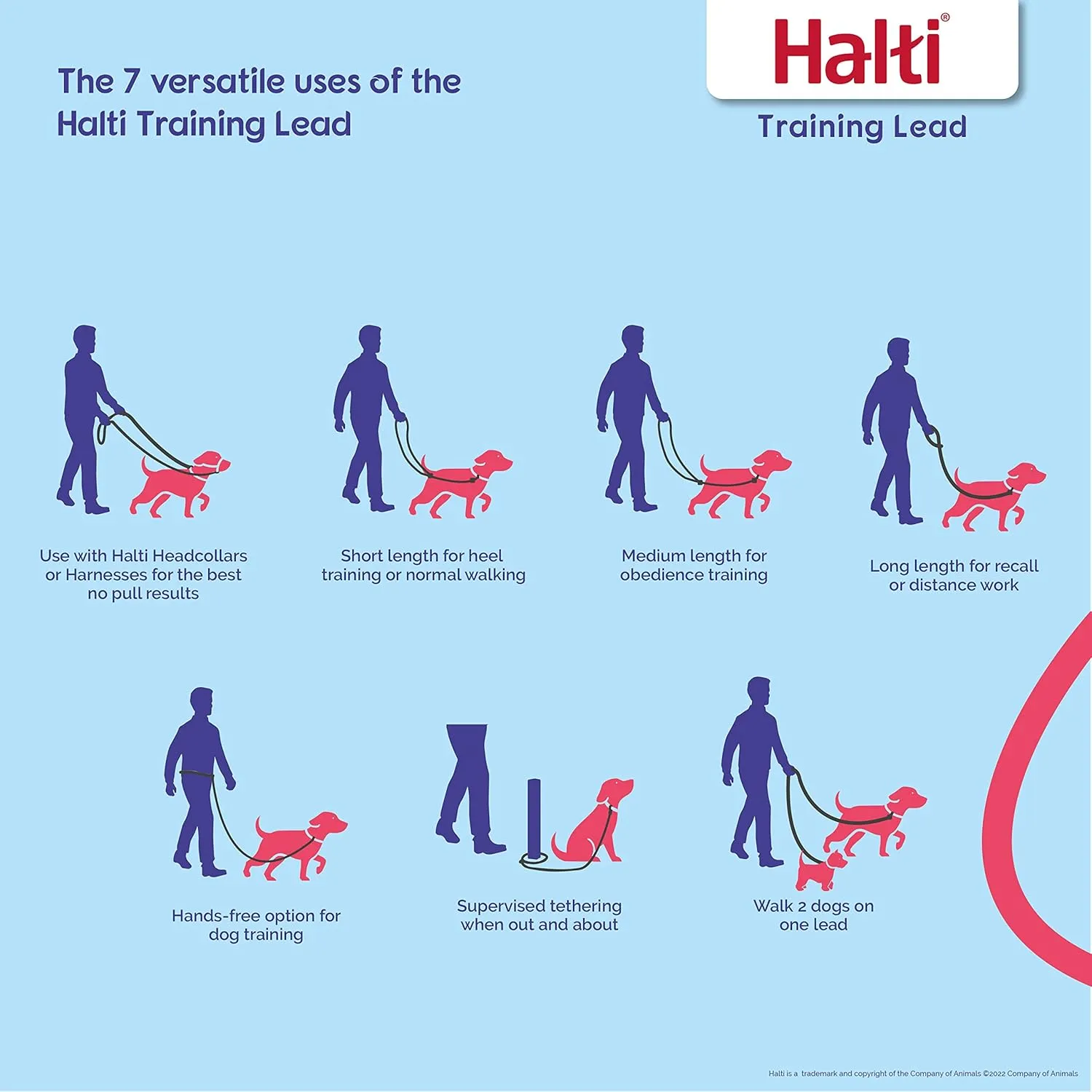 HALTI Headcollar Size 3, Black & HALTI Training Leash Size Large, Black Combination Pack - Stop Your Dog Pulling on the Leash. Adjustable, Lightweight with Padded Nose Band. Suitable for Medium Dogs