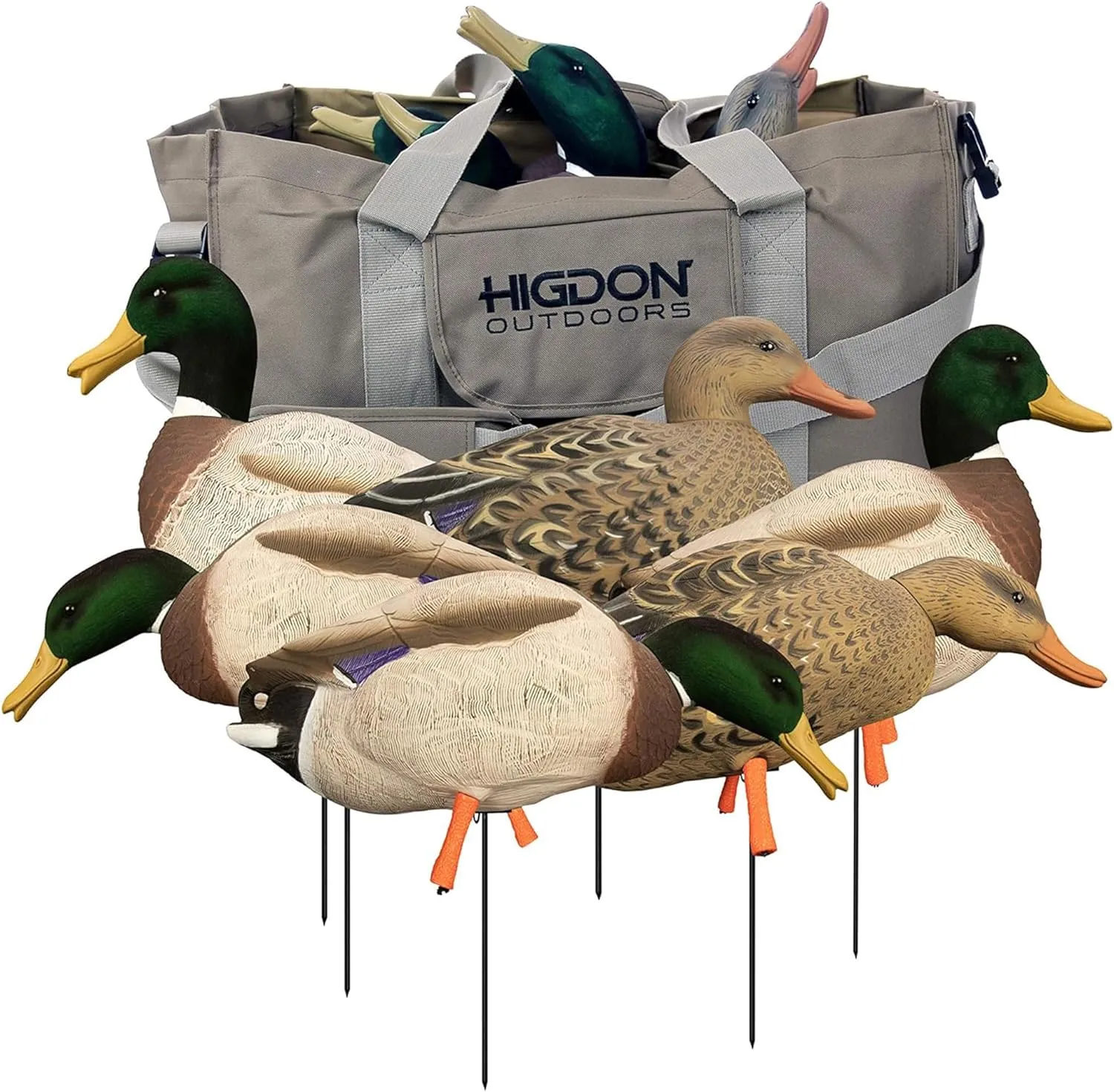 Higdon Outdoors Magnum Full-Body Mallard Duck Decoys with Bag | Realistic Movement for Waterfowl Hunting & Apex Stake System for Easy Setup | Variety Pack | Flocked Heads | 6pk