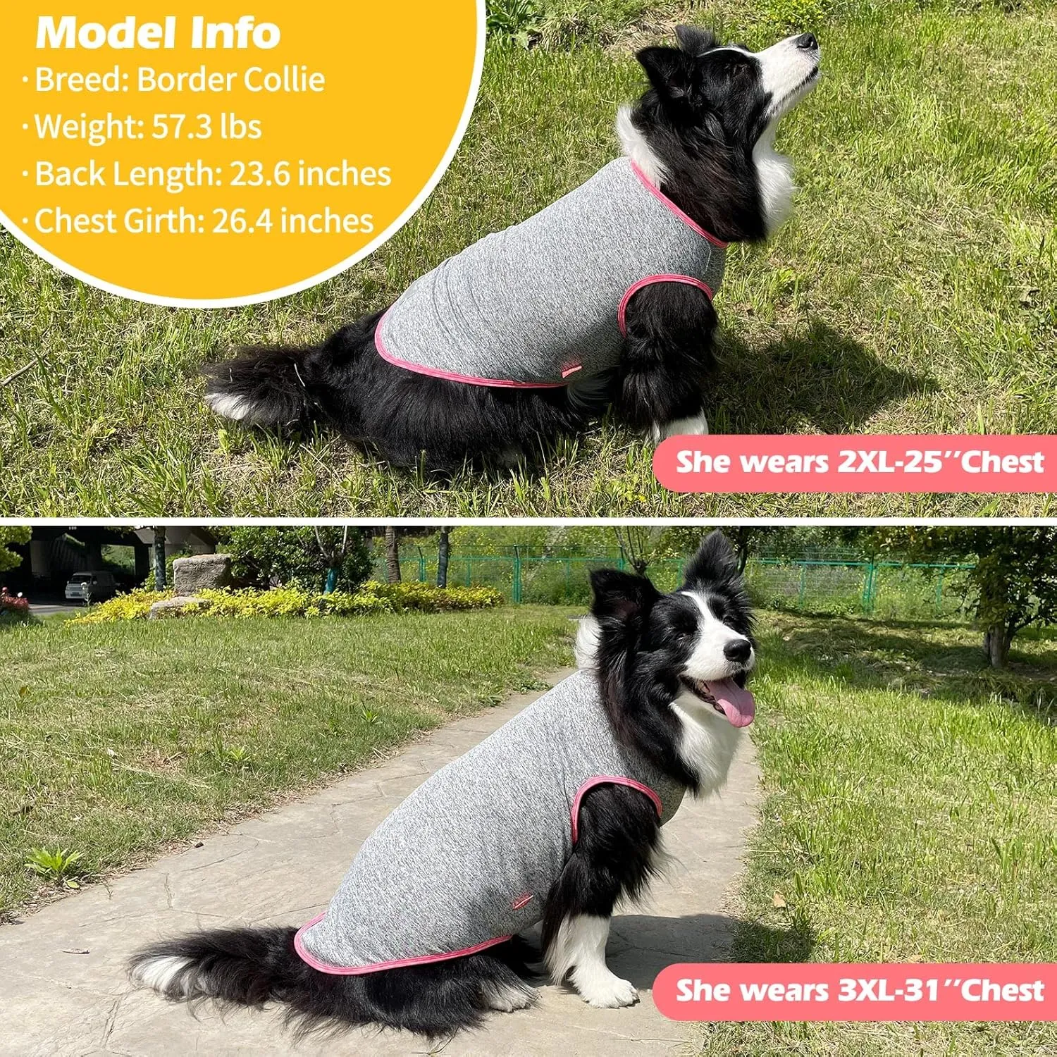 KYEESE 2 Pack Dog Shirts for Large Dogs Quick Dry Soft Stretchy Dog T-Shirts with Reflective Label Tank Top Sleeveless Vest Sun Protection Pet Clothes, Coral Red Grey, 3XL