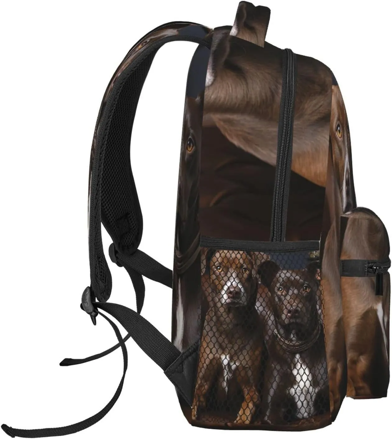 Laptop Backpack Lightweight Daypack for Men Women Earth and Space Dinosaurs Backpack Laptop Bag for Travel Hiking, Dog Sitting on Chair, One Size