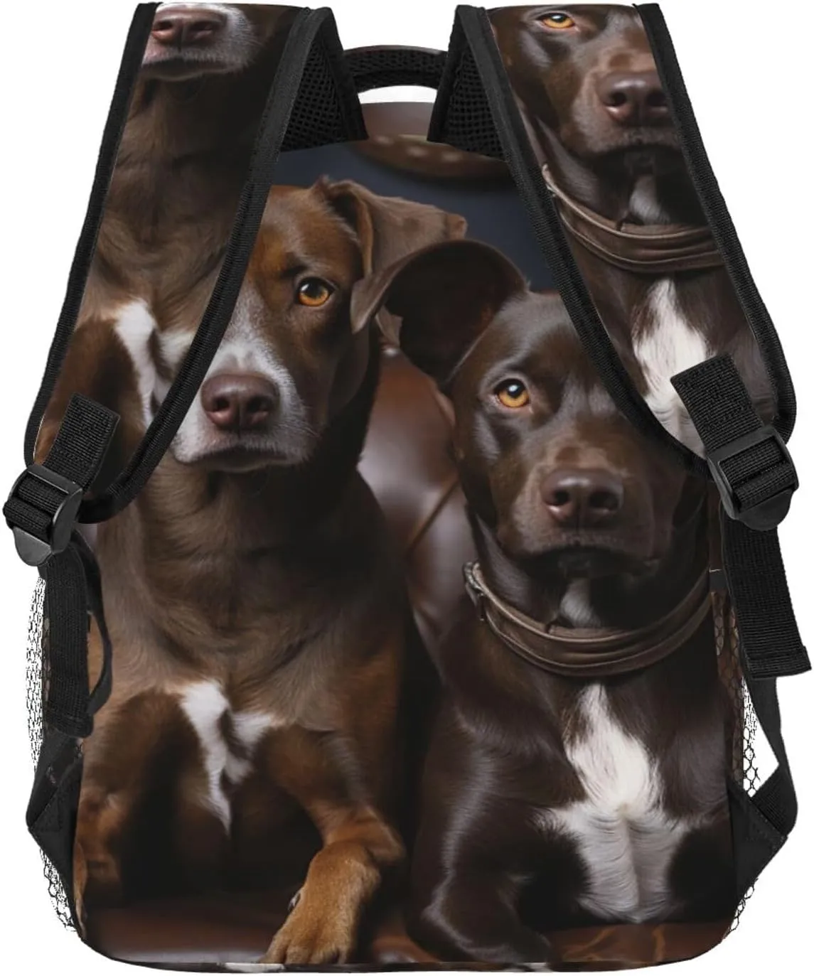 Laptop Backpack Lightweight Daypack for Men Women Earth and Space Dinosaurs Backpack Laptop Bag for Travel Hiking, Dog Sitting on Chair, One Size