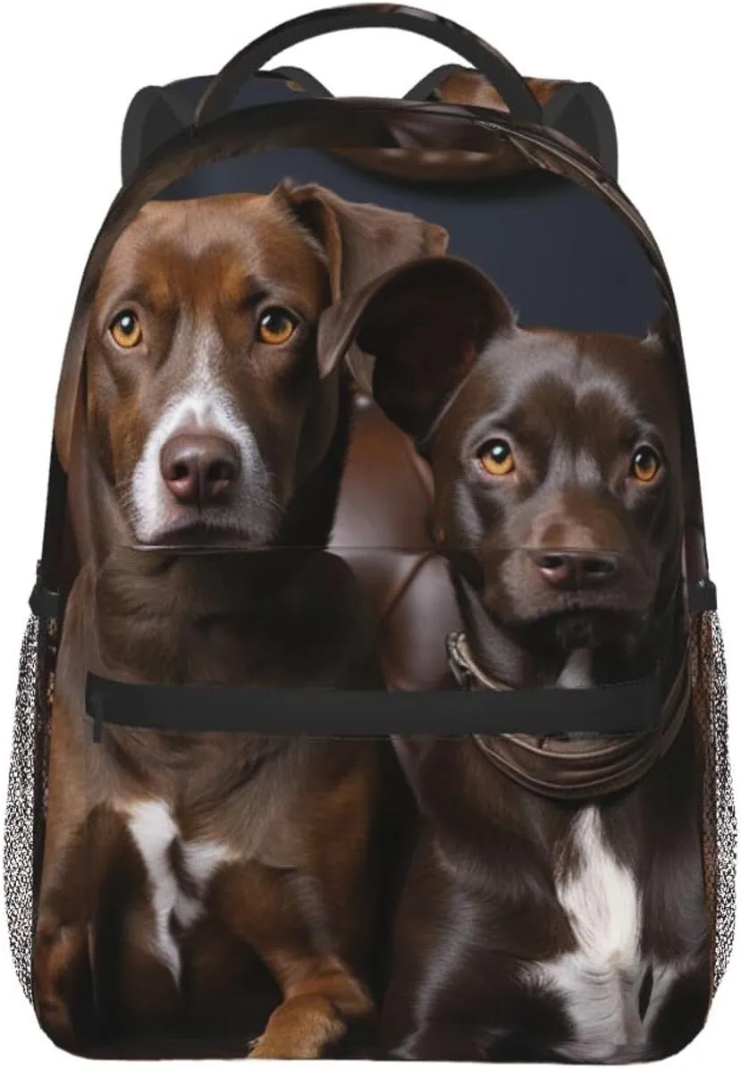 Laptop Backpack Lightweight Daypack for Men Women Earth and Space Dinosaurs Backpack Laptop Bag for Travel Hiking, Dog Sitting on Chair, One Size