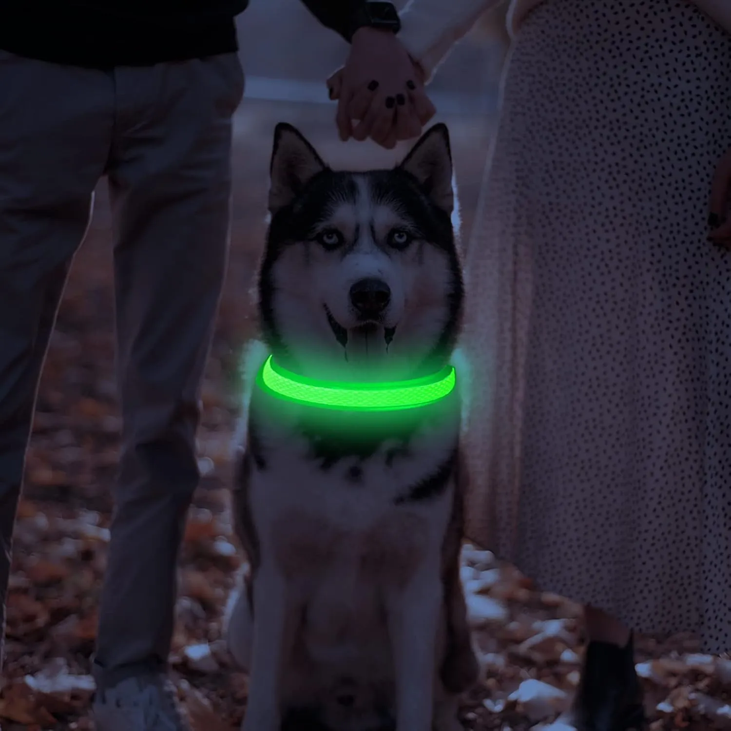LED Dog Collar Rechargeable - Waterproof Light Up Dog Collars, Adjustable Glow in The Dark Pet Collar, Safety Dog Lights for Night Walking (Small, Green)