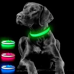 LED Dog Collar Rechargeable - Waterproof Light Up Dog Collars, Adjustable Glow in The Dark Pet Collar, Safety Dog Lights for Night Walking (Small, Green)