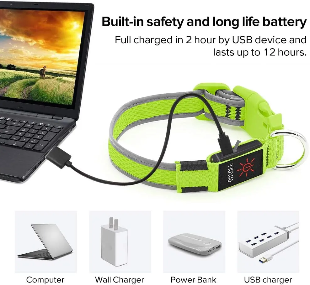 LED Dog Collar Rechargeable - Waterproof Light Up Dog Collars, Adjustable Glow in The Dark Pet Collar, Safety Dog Lights for Night Walking (Small, Green)
