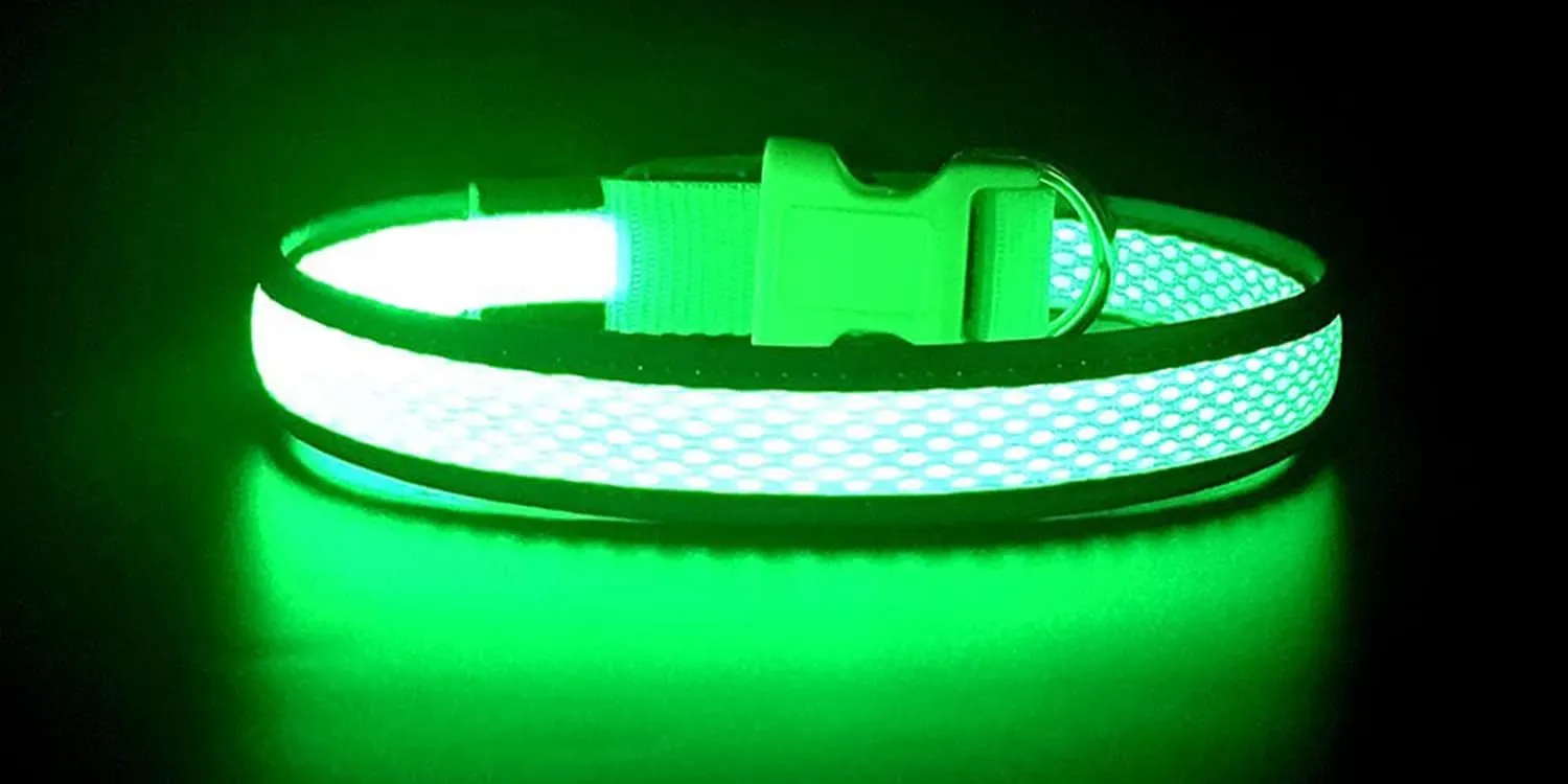 LED Dog Collar Rechargeable - Waterproof Light Up Dog Collars, Adjustable Glow in The Dark Pet Collar, Safety Dog Lights for Night Walking (Small, Green)