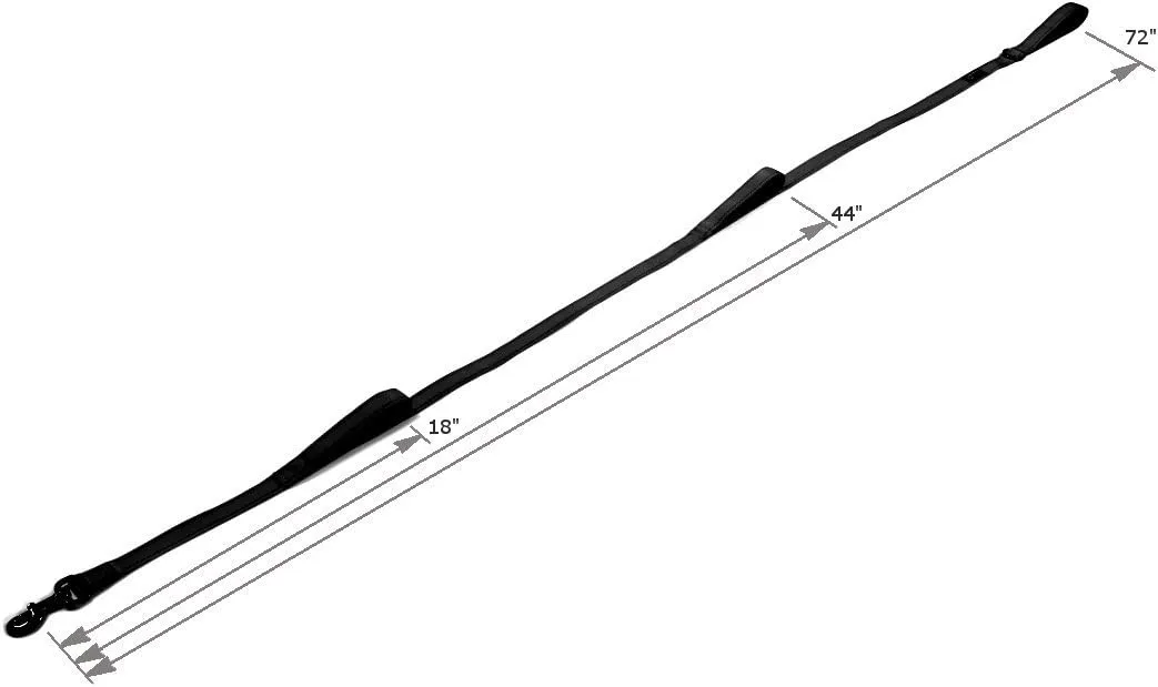 Max and Neo Triple Handle Traffic Dog Leash Reflective - We Donate a Leash to a Dog Rescue for Every Leash Sold (Teal)