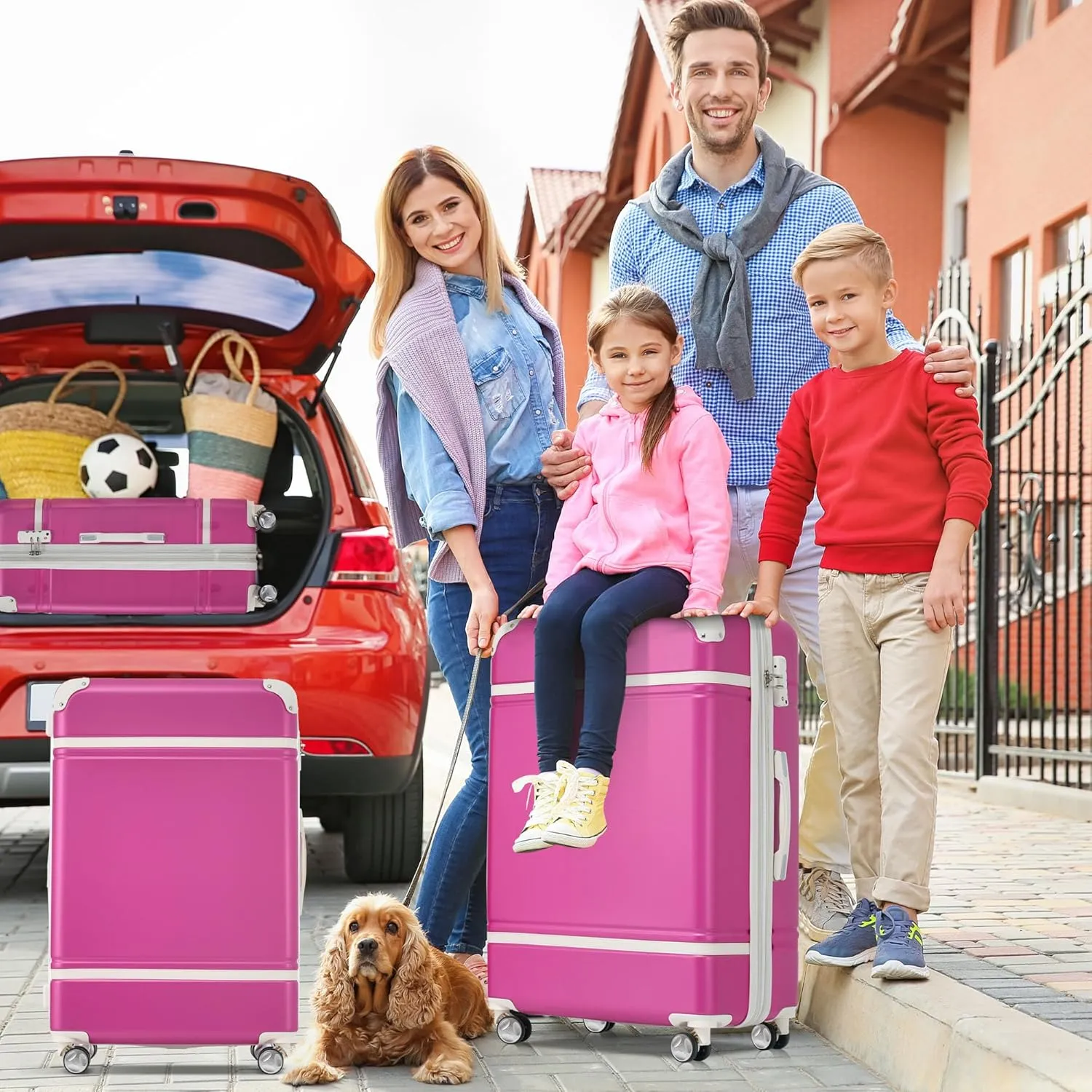 Merax Luggage Set 2 Piece Suitcase Set with Cosmetic Case Expandable Spinner Wheels Vintage Luggage Sets(Pink,20" 24")