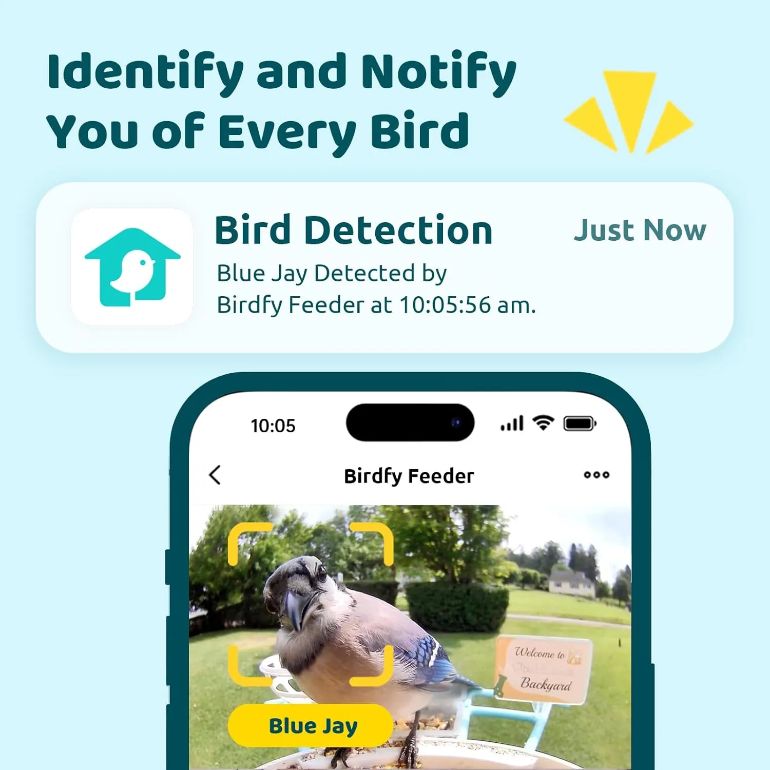 NETVUE by Birdfy Smart Feeder with Camera, Watching, Auto Capture Bird Videos & Motion Detection, Wireless Camera Ideal Present for Bird Lover (Solar Blue)