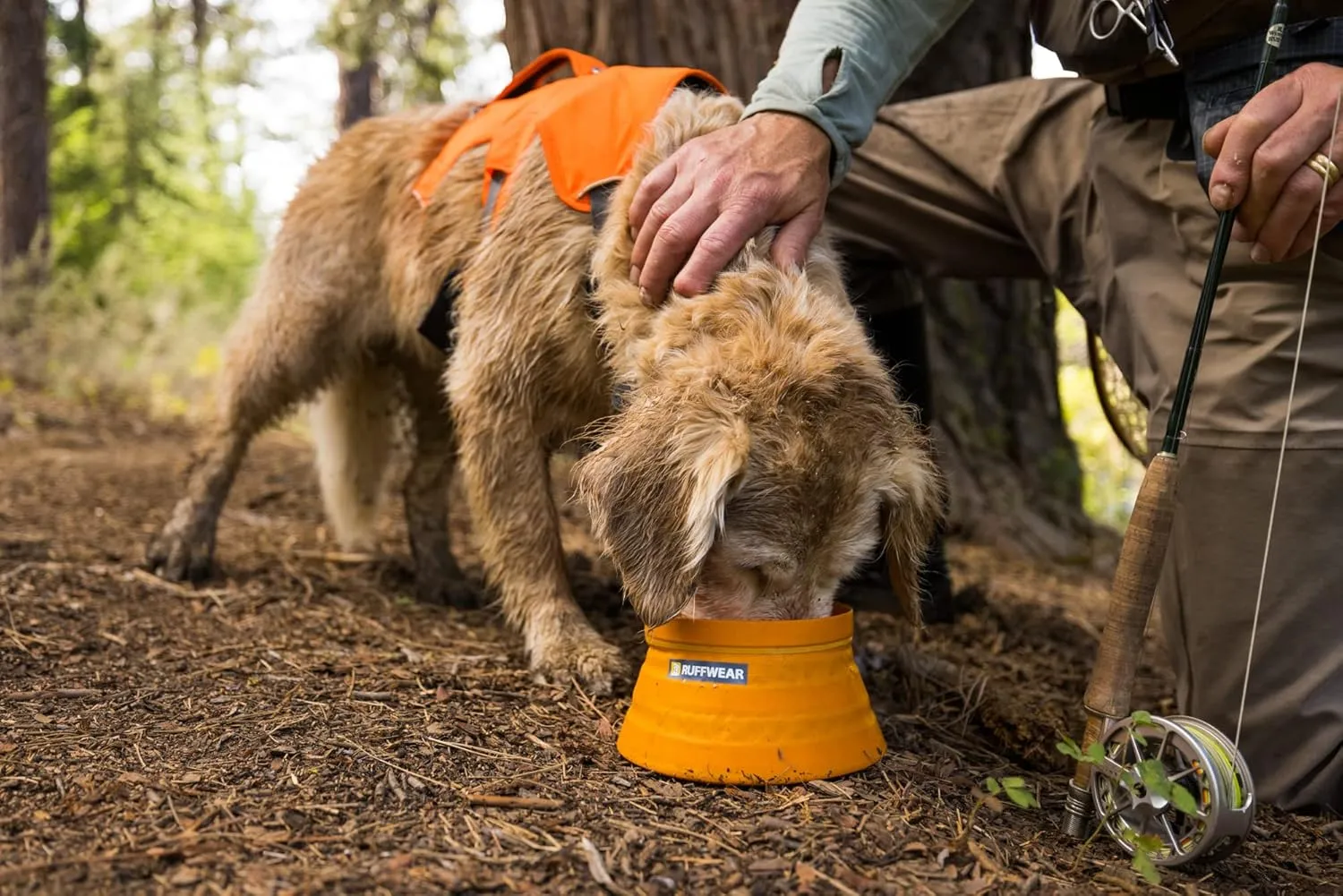 Ruffwear, Bivy Bowl Collapsible Ultralight and Packable Dog Bowl, Salamander Orange, Medium