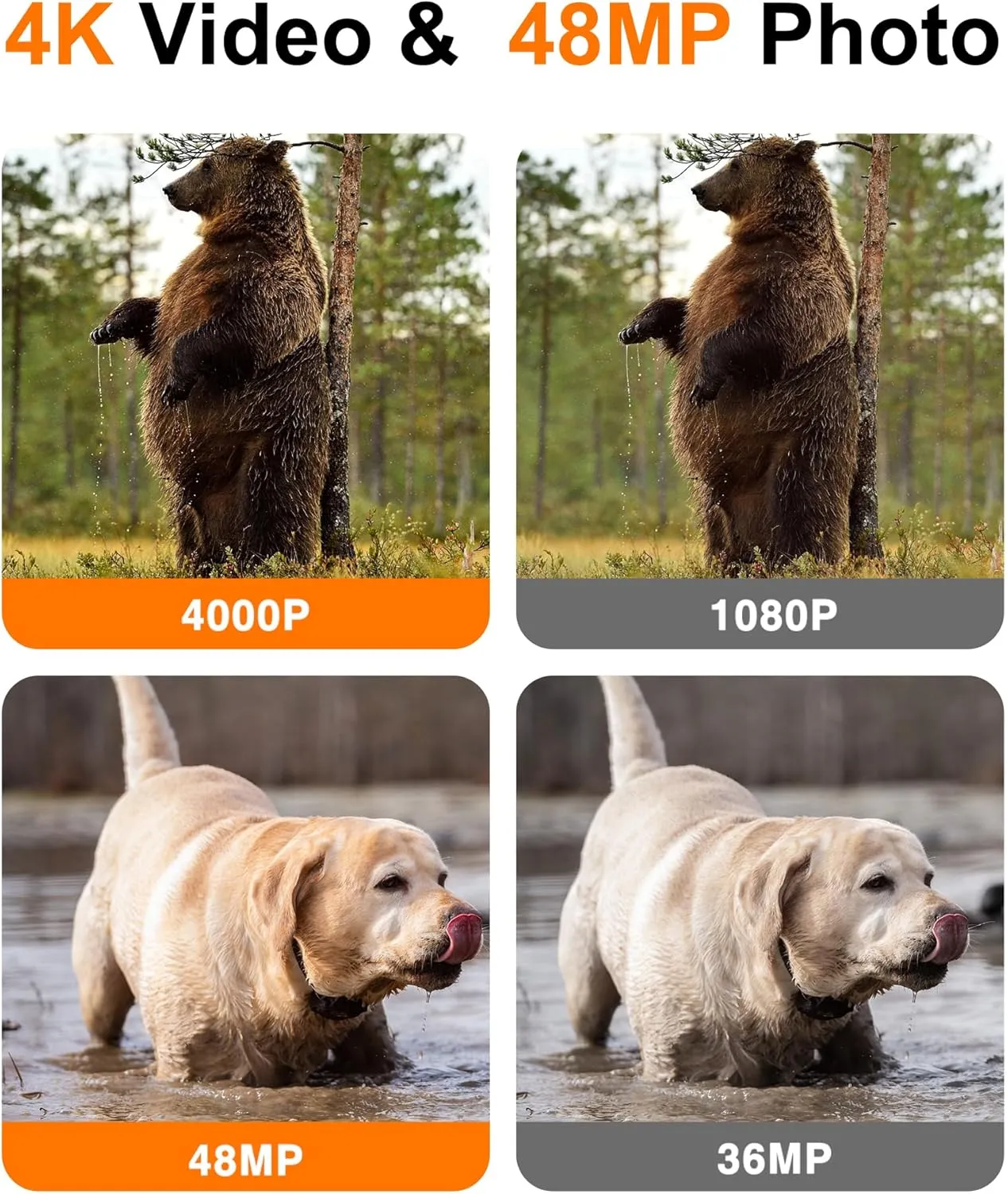 Trail Camera - 4K 48MP Game Camera with 0.05s Trigger Motion Activated Durable Materials,IP66 Waterproof,Night Vision,130 Wide-Angle for Capturing Wildlife
