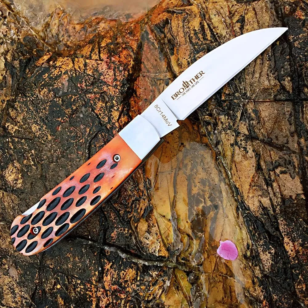 Watchman Brother1506 Blade Knife Carbone Fiber Bone Grips Lock Back Pocket Knife … (bone)